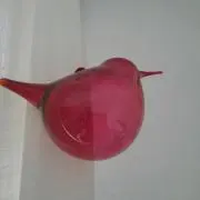 mimiちゃんの画像
