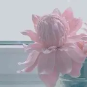 琉君ママ※プロフィール必読※