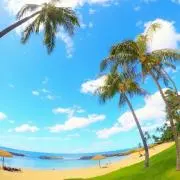 サラ⚠購入前のプロフィール必読！！の画像