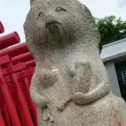 sa'sa®️aの画像