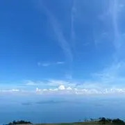 Cの画像
