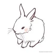 pinokoの画像