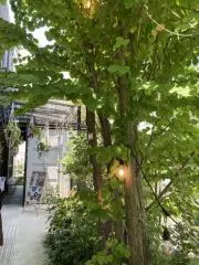 ♡ぽろん♡の画像
