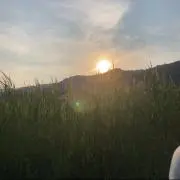 kRの画像