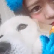 きゆの画像