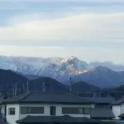 ゴリの画像