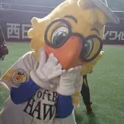 みゆき
