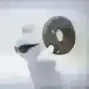 sの画像