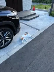Makoの画像