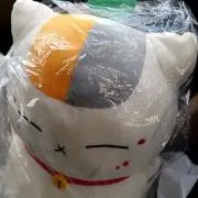 がーこ(断捨離中)の画像