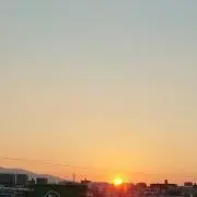 あおの画像