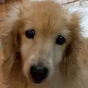 ☆miu☆の画像