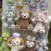 mainonの画像