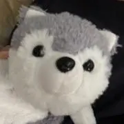 ラルの画像
