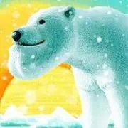クマの画像