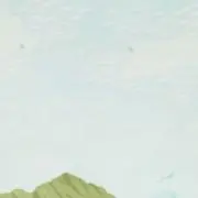 aoの画像
