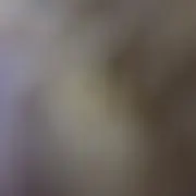 このはな綺譚　声優　直筆サイン このはな綺譚 声優 直筆サイン - メルカリ