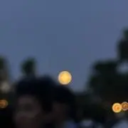 はるの画像