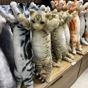 sの画像