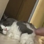 まるもん