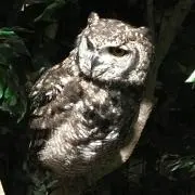 たかゆきの画像