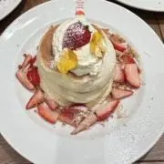 ハルの画像