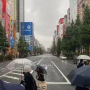 Mの画像