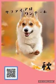てつてつ