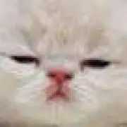 れーの画像