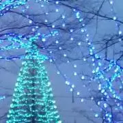 まんまるの画像