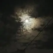 プッププの画像