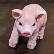 サチコの画像