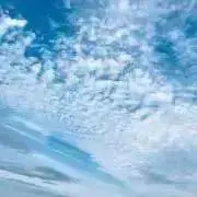 chanの画像