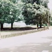 ぱんの画像