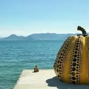 Yuuの画像