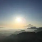 マツ⭐︎迅速対応⭐︎丁寧梱包の画像