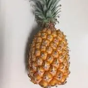 のん