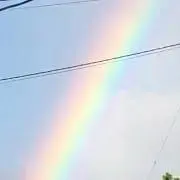 ほほとの画像