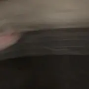 micの画像