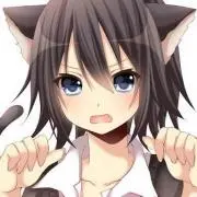 猫の人