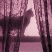 rereの画像