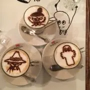 ステラの画像
