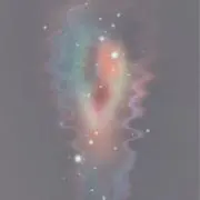 肴の画像