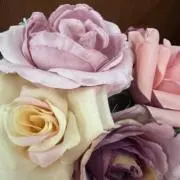 RHNの画像