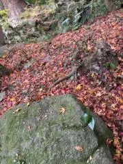 たかの画像