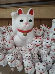 arimamaの画像