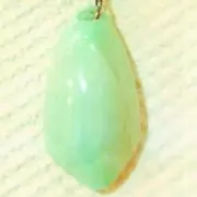 あるじぃー