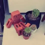 にーちの画像