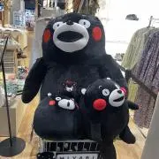 Shibakenの画像