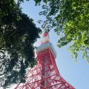 Poloの画像
